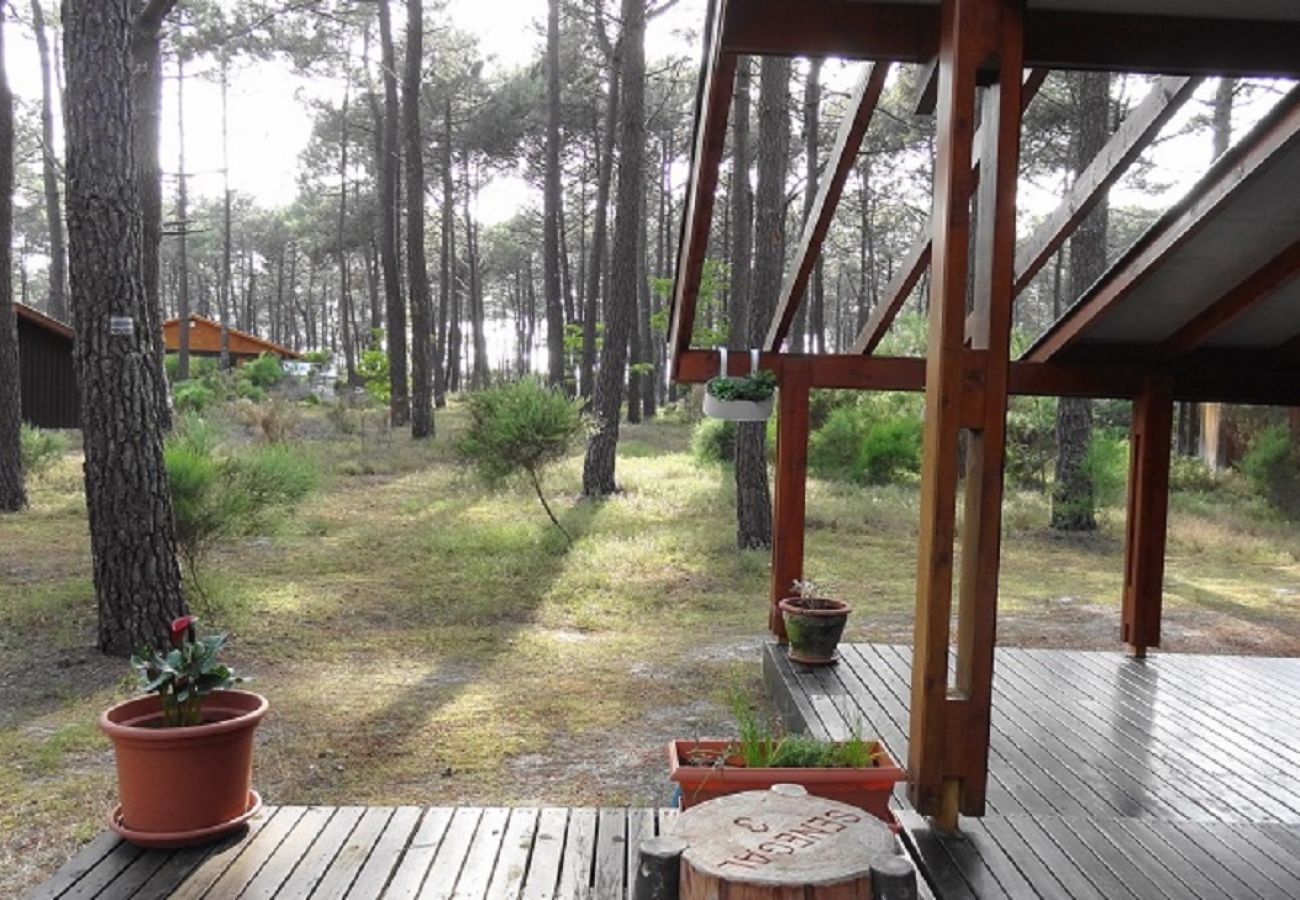 Chalet in Grayan-et-l´Hôpital - Chalet Sénégal 3