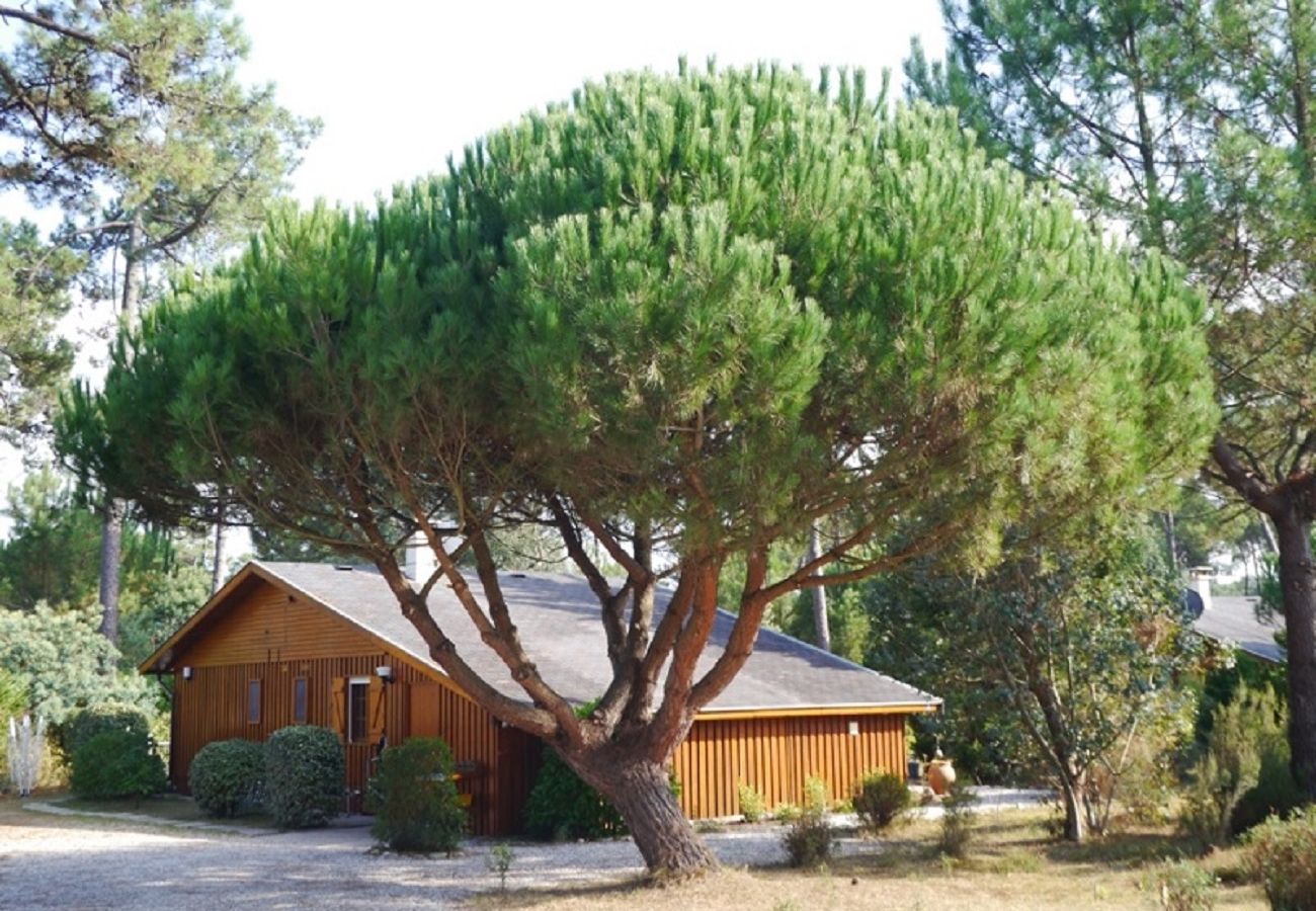 Chalet in Grayan-et-l´Hôpital - Chalet Californie 5