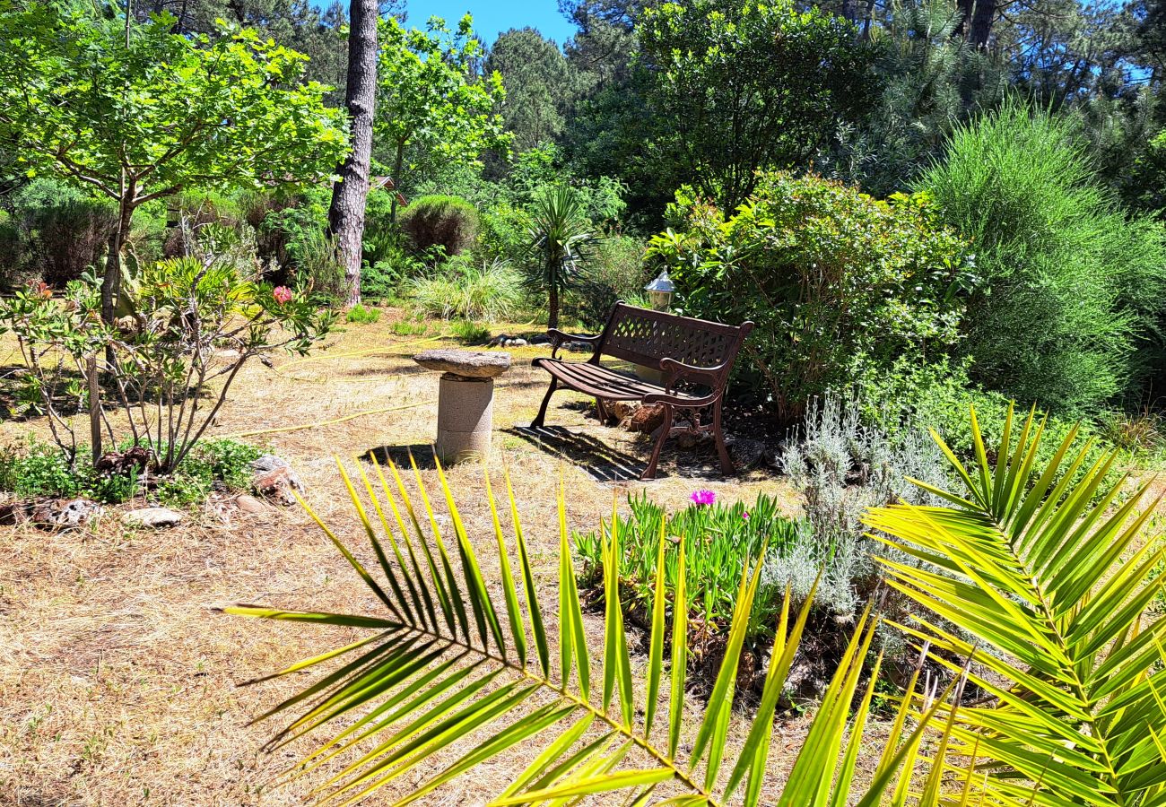 Chalet in Grayan-et-l´Hôpital - Chalet Guyane 2