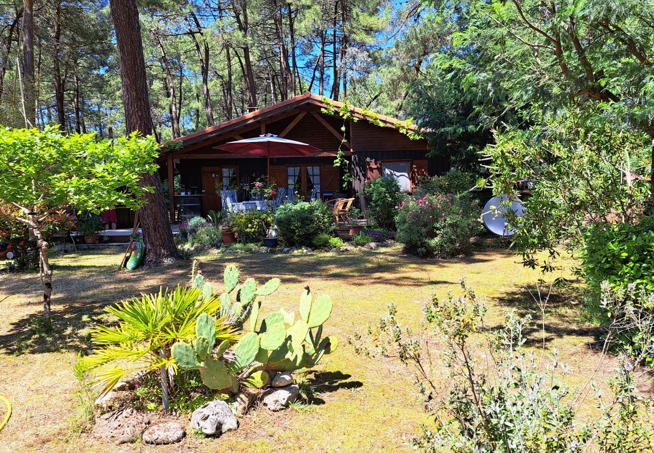 Chalet in Grayan-et-l´Hôpital - Chalet Guyane 2