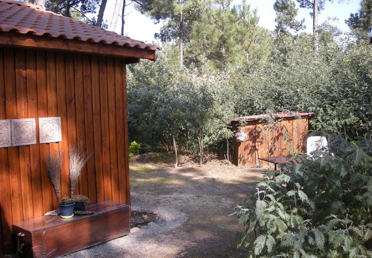 Chalet in Grayan-et-l´Hôpital - Chalet Amérique du Sud 16