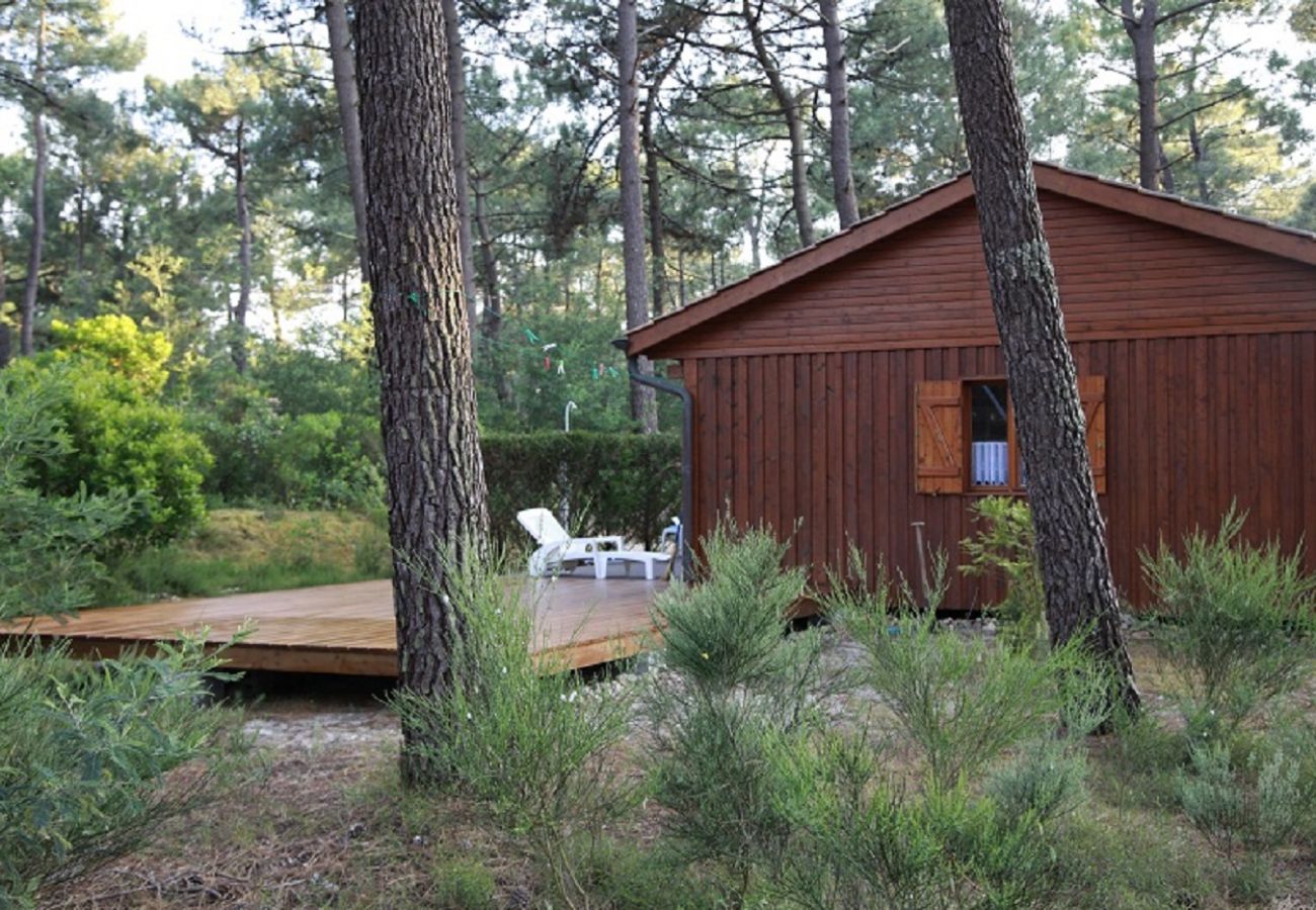 Chalet in Grayan-et-l´Hôpital - Chalet Amérique du Sud 19