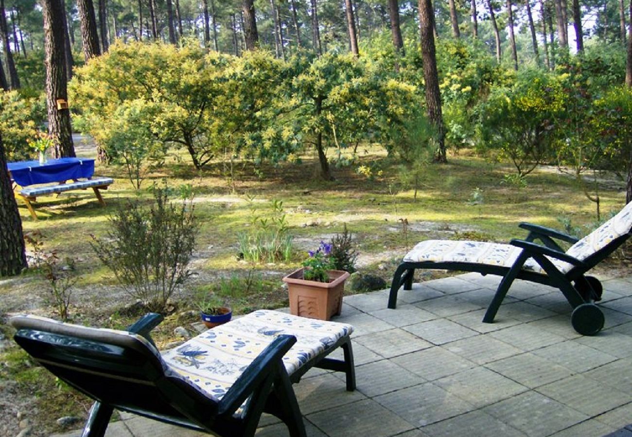 Chalet in Grayan-et-l´Hôpital - Chalet Amérique du Sud 8