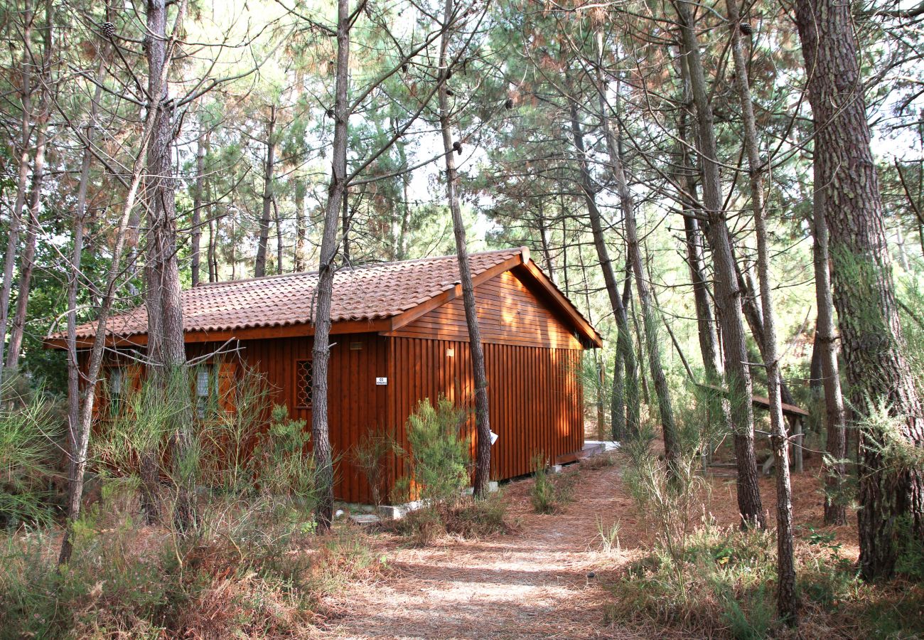 Chalet in Grayan-et-l´Hôpital - Chalet Honduras 3