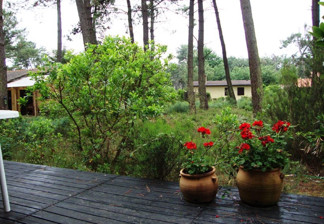 Chalet in Grayan-et-l´Hôpital - Chalet Portugal 2