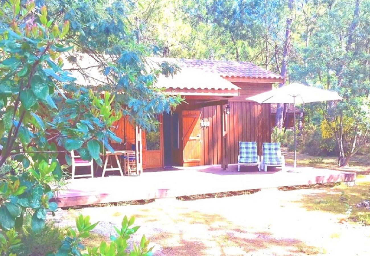 Chalet in Grayan-et-l´Hôpital - Chalet Salvador 5