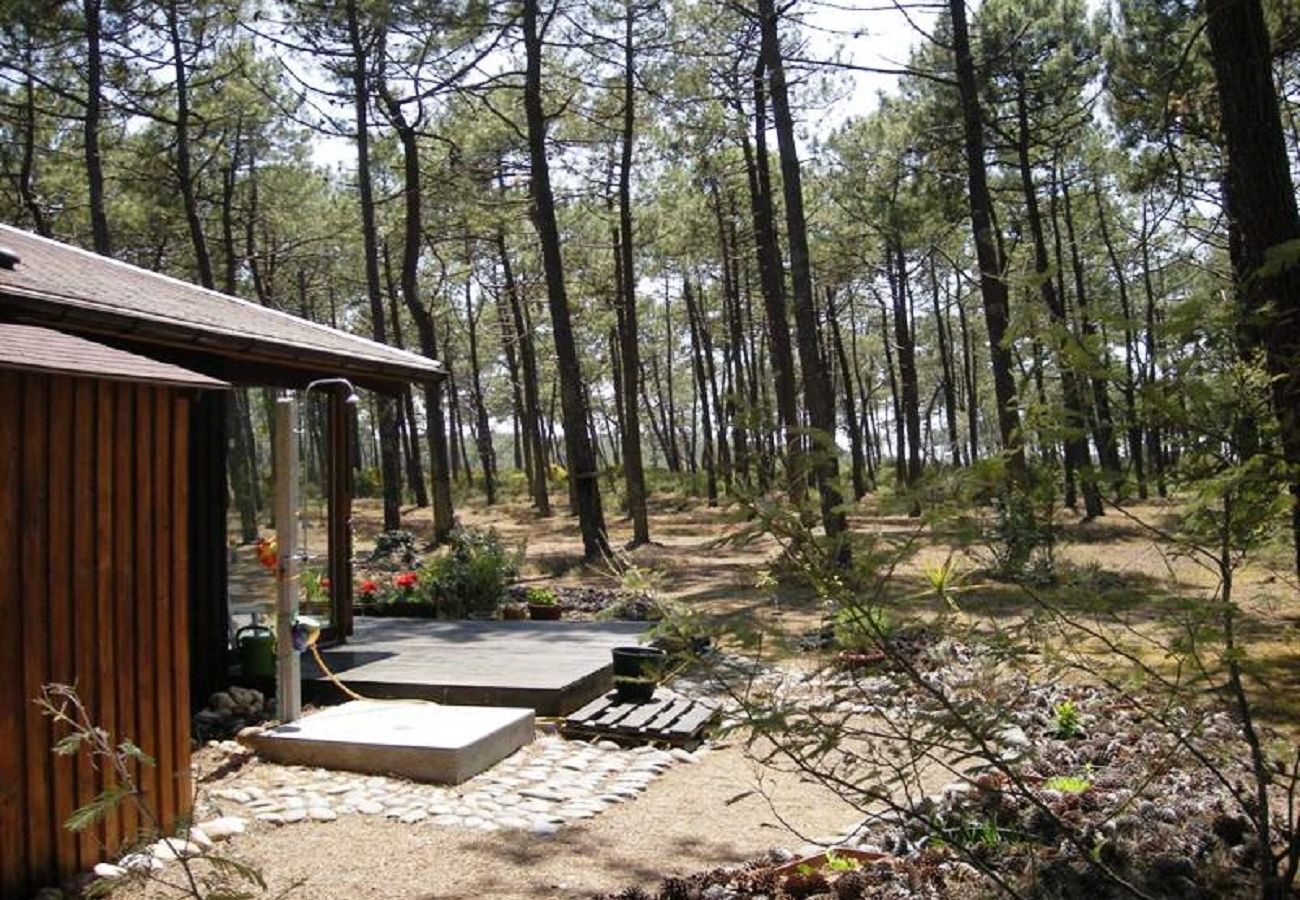 Chalet in Grayan-et-l´Hôpital - Chalet Nigéria 11