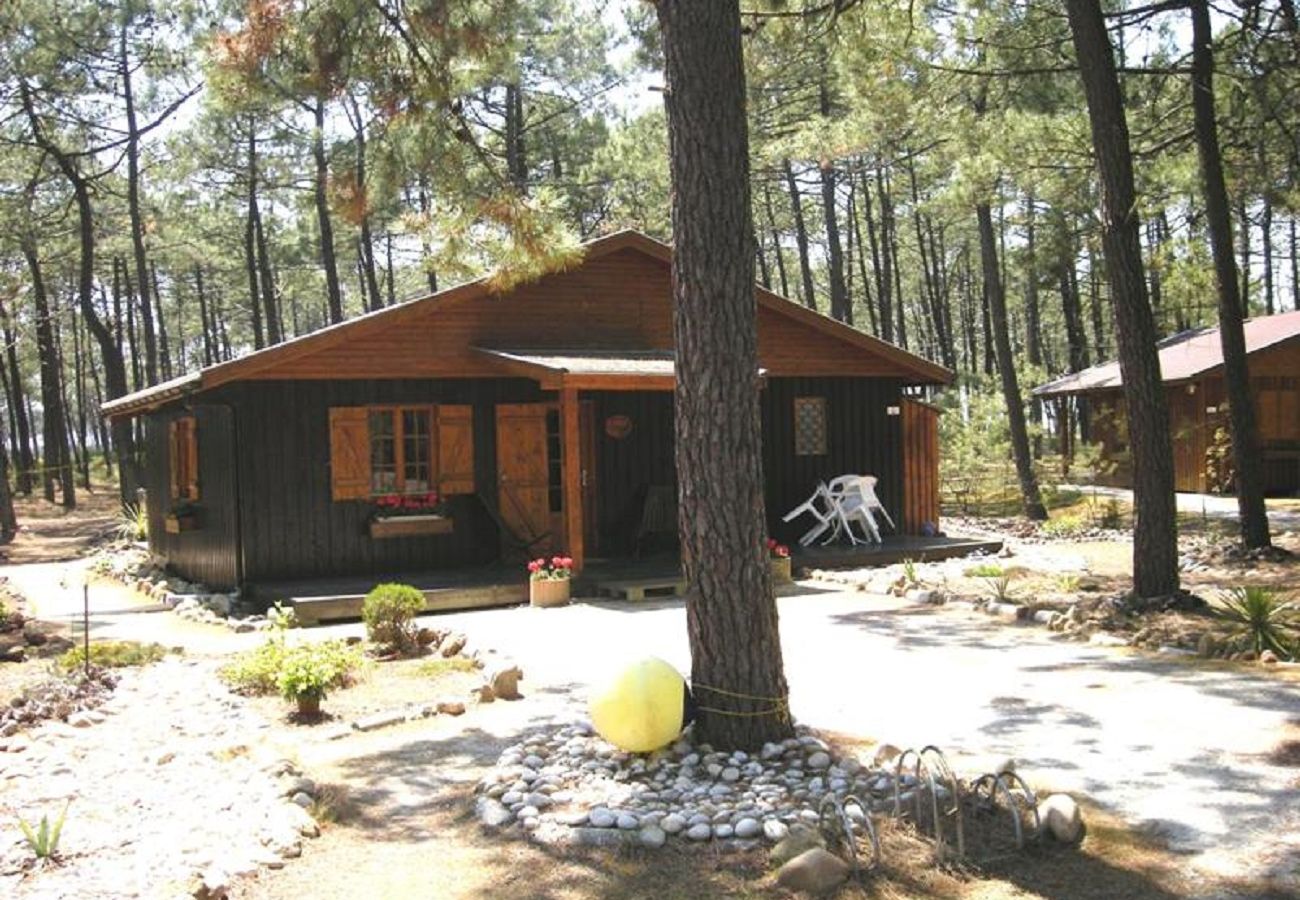 Chalet in Grayan-et-l´Hôpital - Chalet Nigéria 11