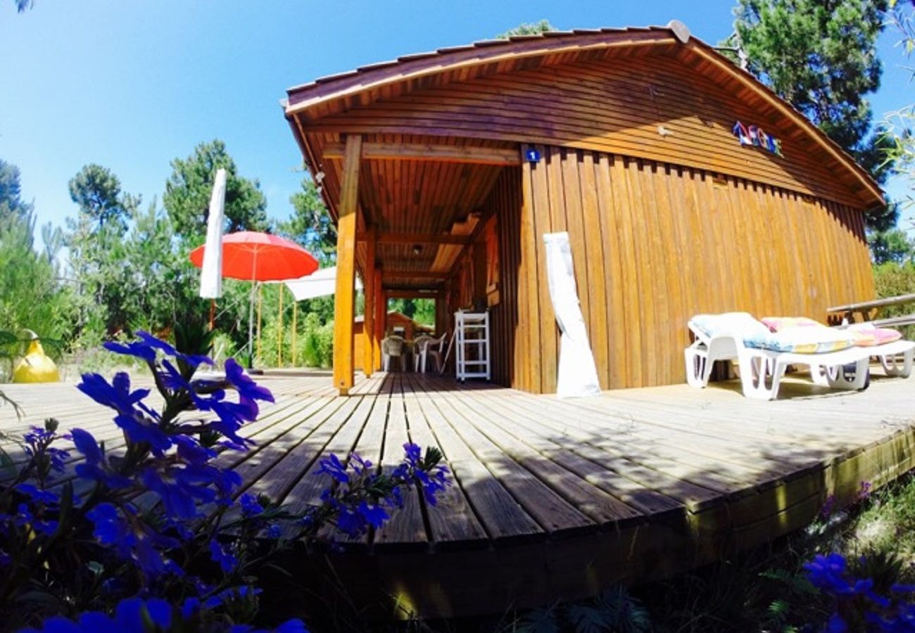 Chalet in Grayan-et-l´Hôpital - Chalet Virginie 1