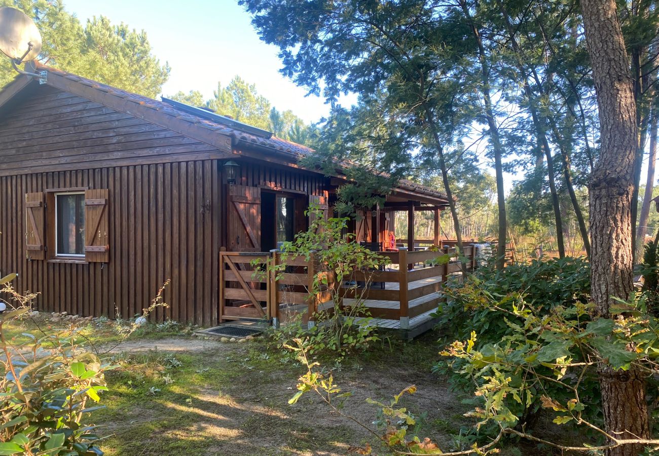 Chalet in Grayan-et-l´Hôpital - Chalet Ile de la Société 2