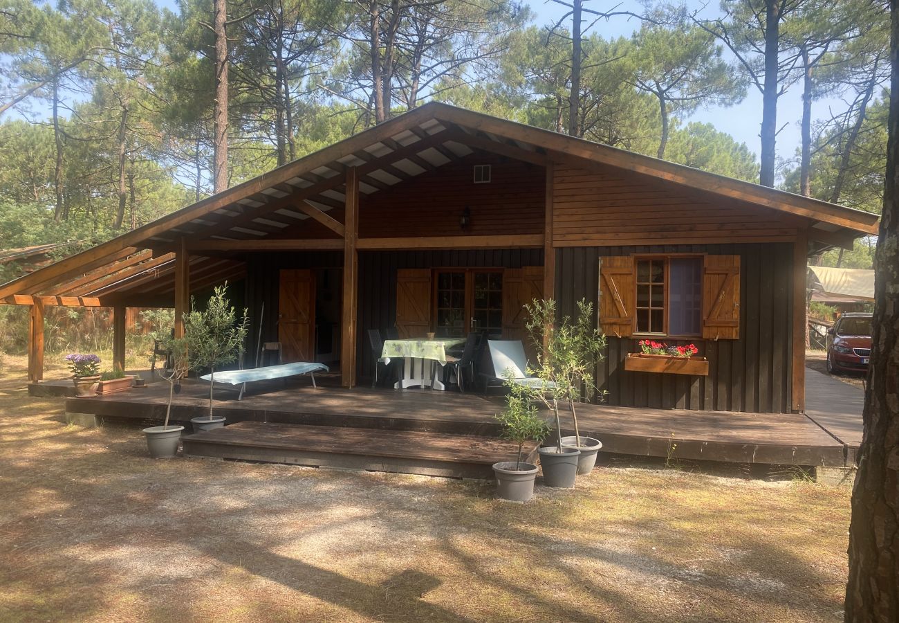 Chalet in Grayan-et-l´Hôpital - Chalet Sénégal 3