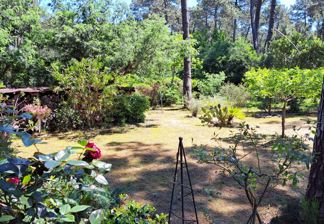 Chalet in Grayan-et-l´Hôpital - Chalet Guyane 2