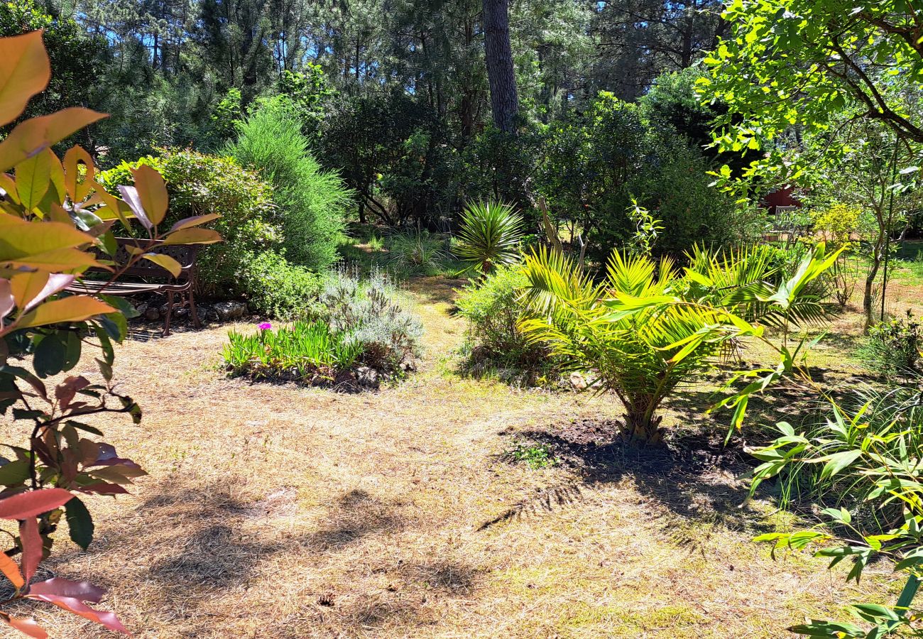 Chalet in Grayan-et-l´Hôpital - Chalet Guyane 2