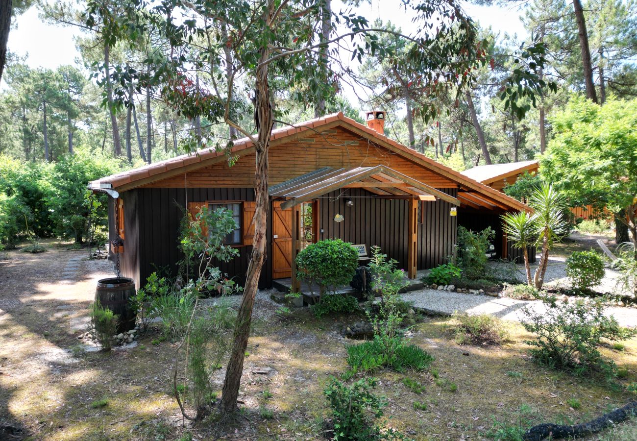 Chalet in Grayan-et-l´Hôpital - Chalet Guyane 2