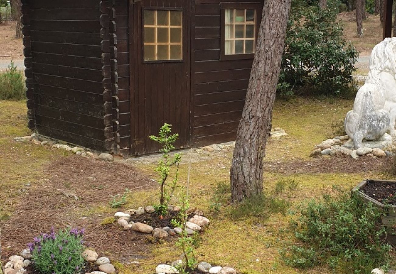 Chalet in Grayan-et-l´Hôpital - Chalet Ceylan 12