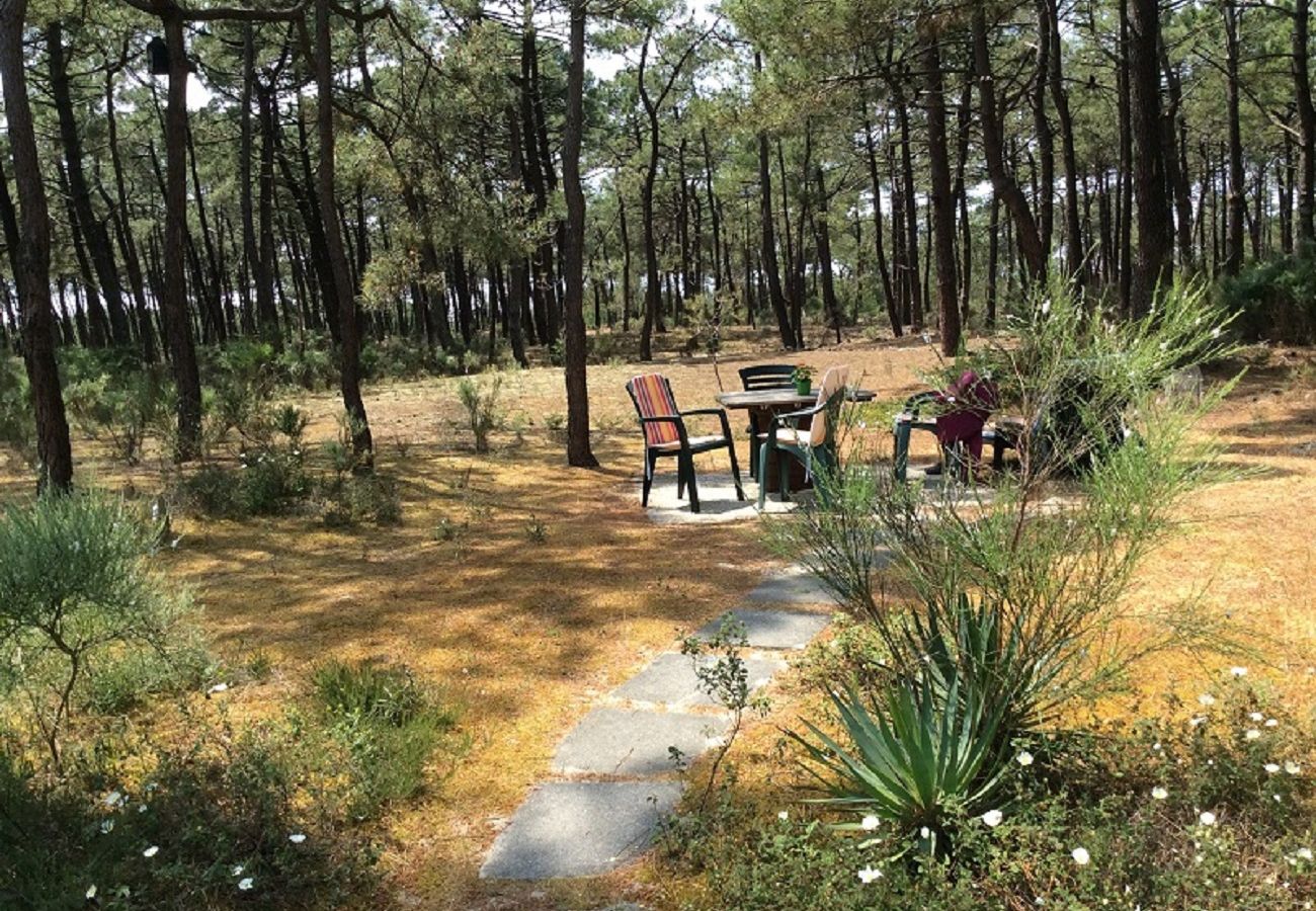 Chalet in Grayan-et-l´Hôpital - Chalet Maroc 11