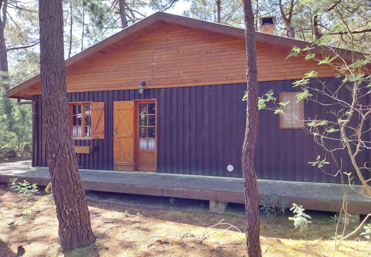 Chalet in Grayan-et-l´Hôpital - Chalet Nigéria 1