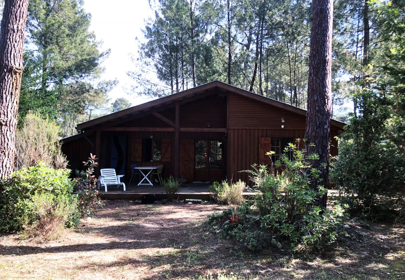 Chalet in Grayan-et-l´Hôpital - Chalet Surinam 7