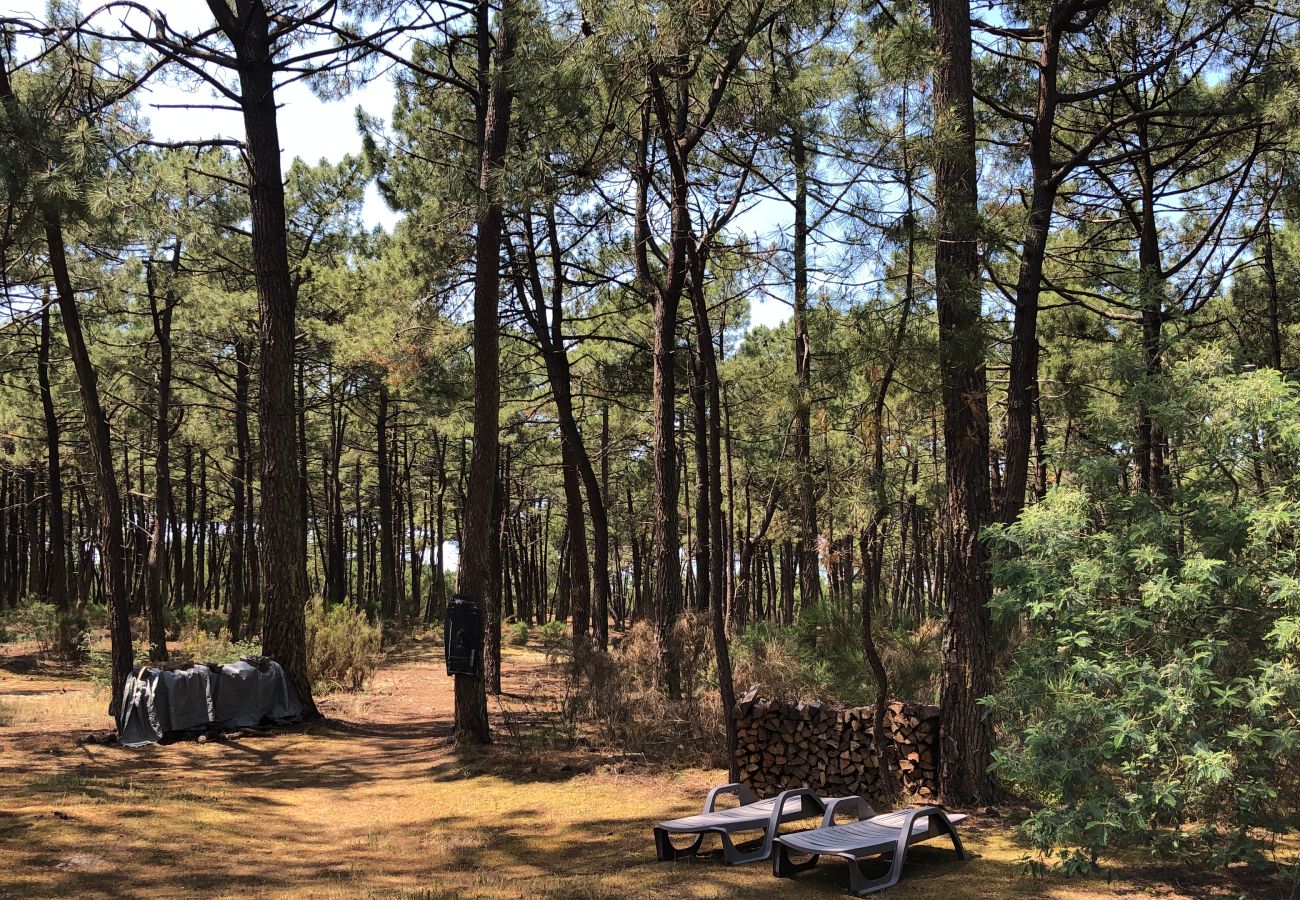 Chalet in Grayan-et-l´Hôpital - Chalet Maroc 9