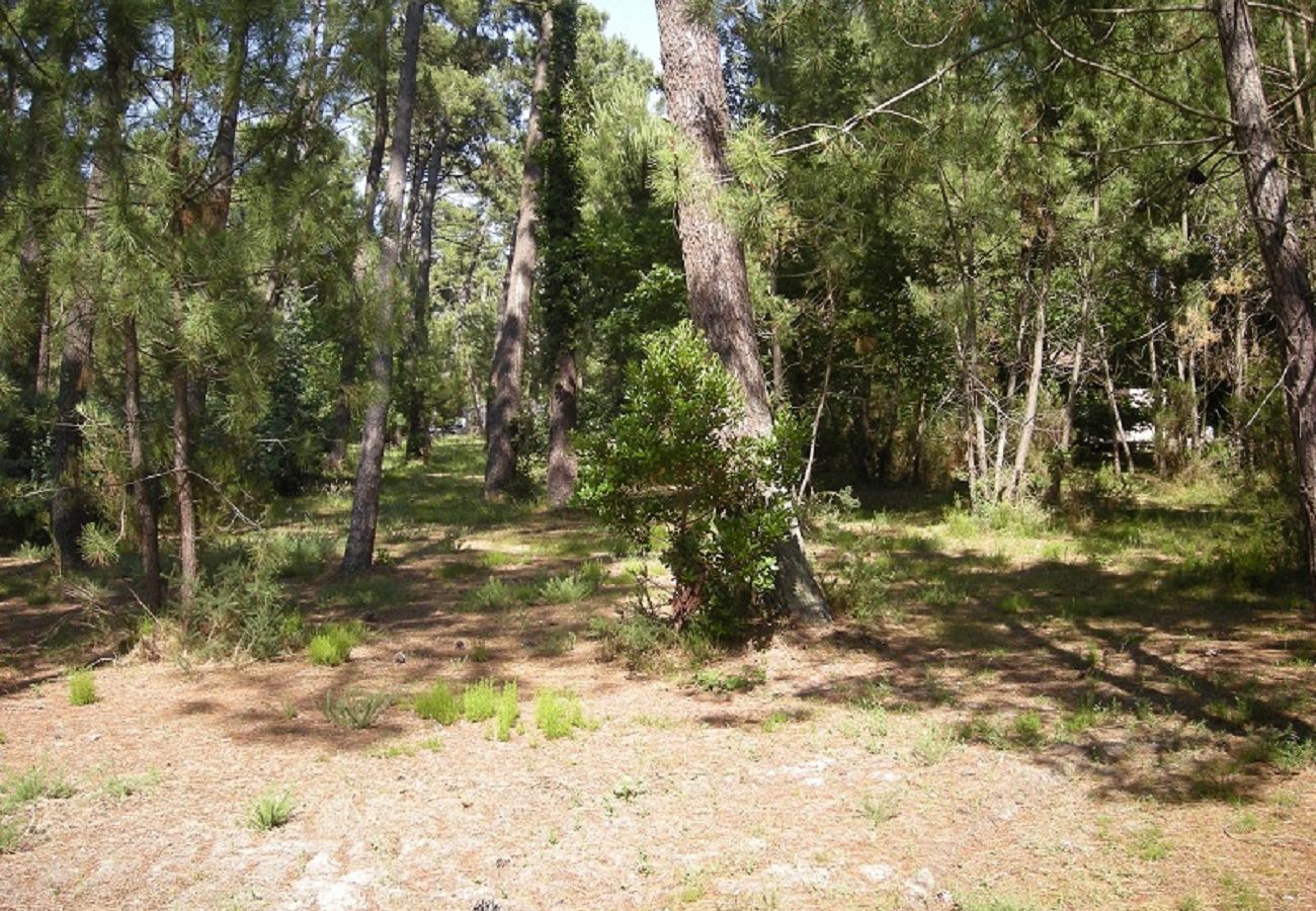 Chalet à Grayan-et-l´Hôpital - Chalet Amérique du Sud 2