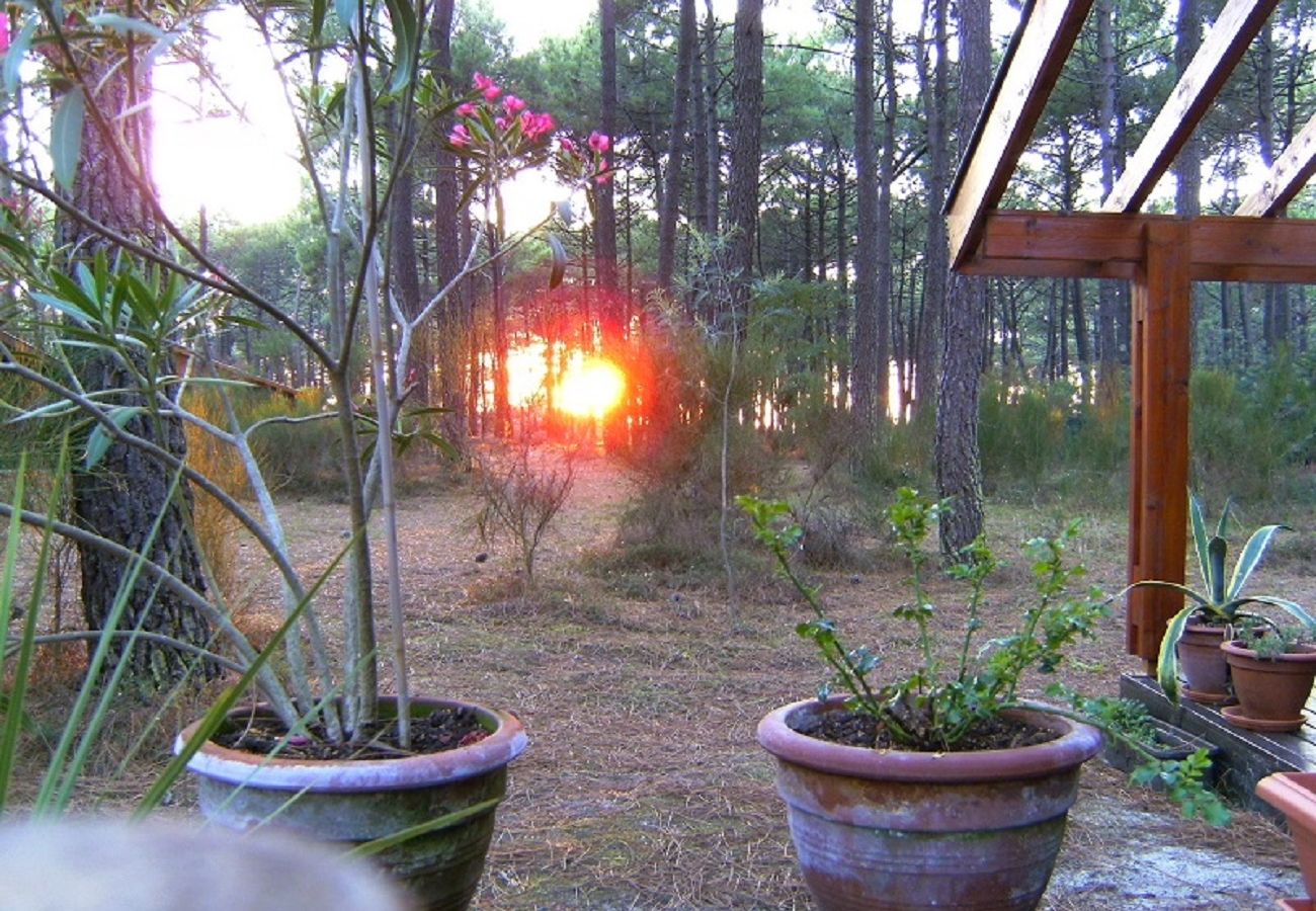 Chalet à Grayan-et-l´Hôpital - Chalet Sénégal 3