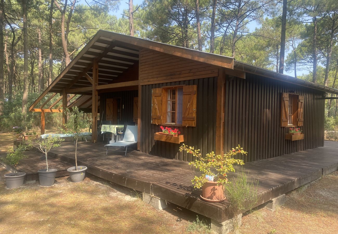 Chalet à Grayan-et-l´Hôpital - Chalet Sénégal 3