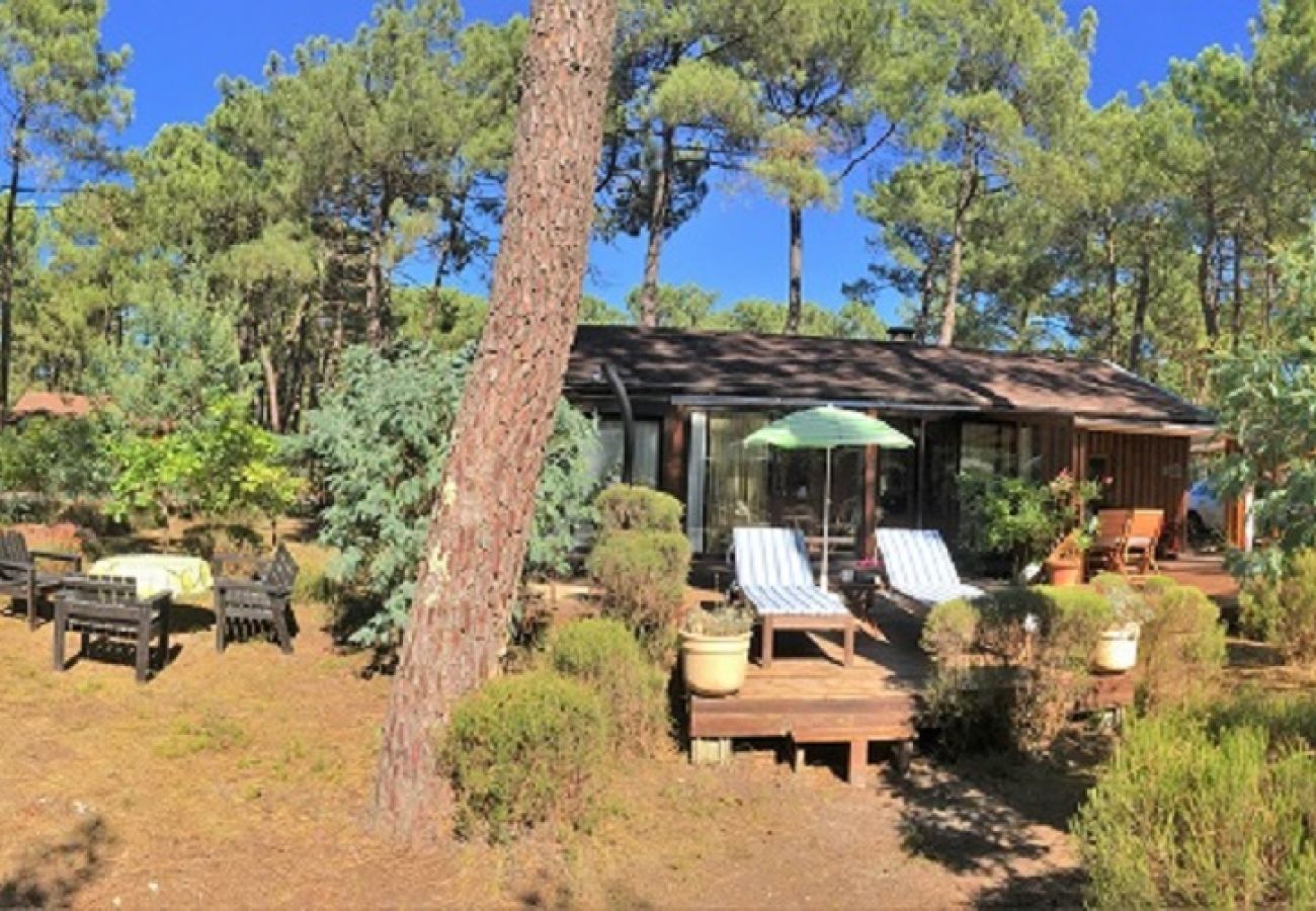 Chalet à Grayan-et-l´Hôpital - Chalet Afrique 16