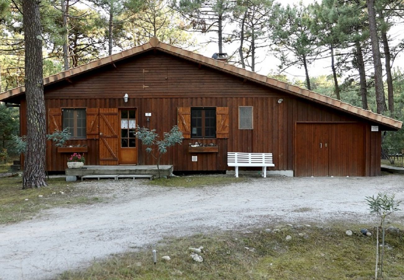 Chalet à Grayan-et-l´Hôpital - Chalet Amérique du Sud 31