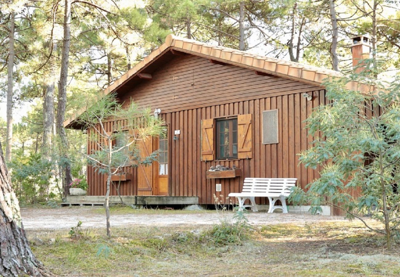 Chalet à Grayan-et-l´Hôpital - Chalet Amérique du Sud 31