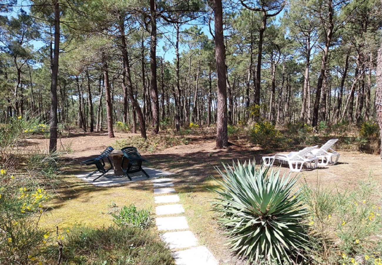 Chalet à Grayan-et-l´Hôpital - Chalet Maroc 11