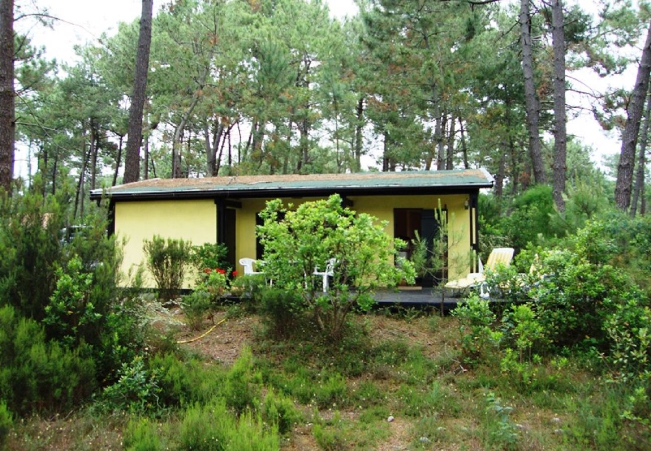 Chalet à Grayan-et-l´Hôpital - Chalet Portugal 2