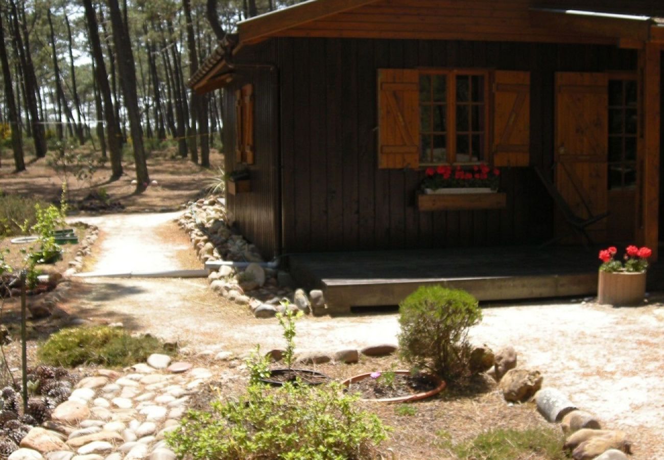 Chalet à Grayan-et-l´Hôpital - Chalet Nigéria 11