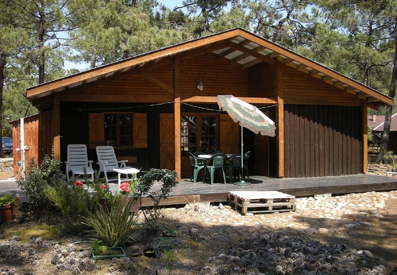 Chalet à Grayan-et-l´Hôpital - Chalet Nigéria 11