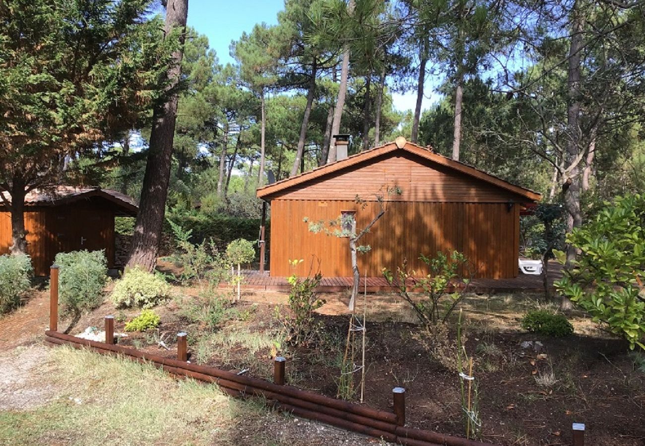 Chalet à Grayan-et-l´Hôpital - Chalet Pérou 1